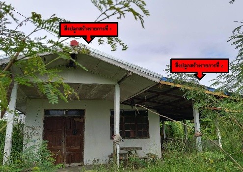 ขายทอดตลาด ที่ดินพร้อมสิ่งปลูกสร้าง ต.ป่ามะนาว อ.บ้านฝาง จ.ขอนแก่น