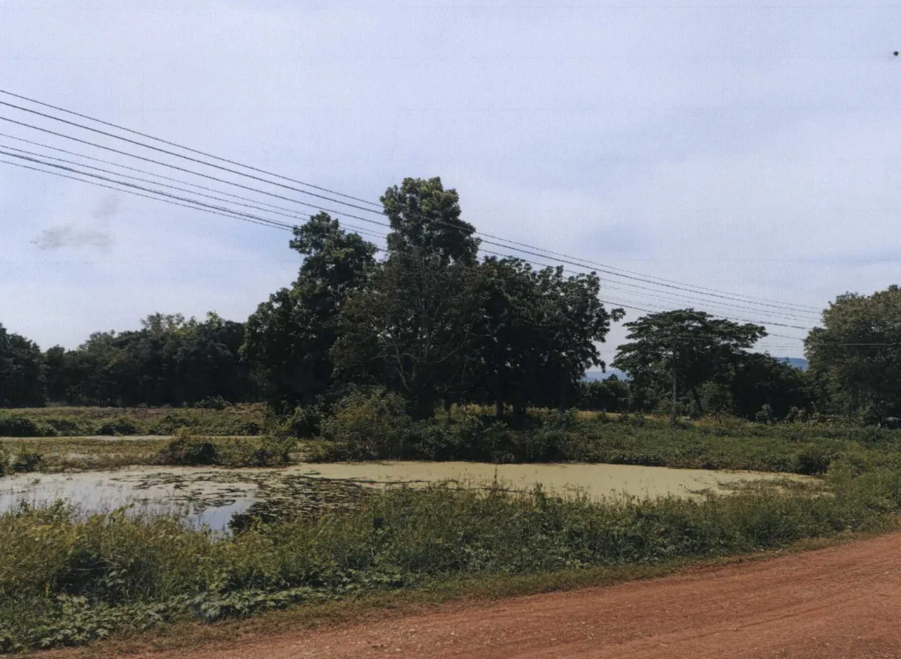 ขายทอดตลาด ที่ดินว่างเปล่า ต.ท่าพล อ.เมืองเพชรบูรณ์ จ.เพชรบูรณ์