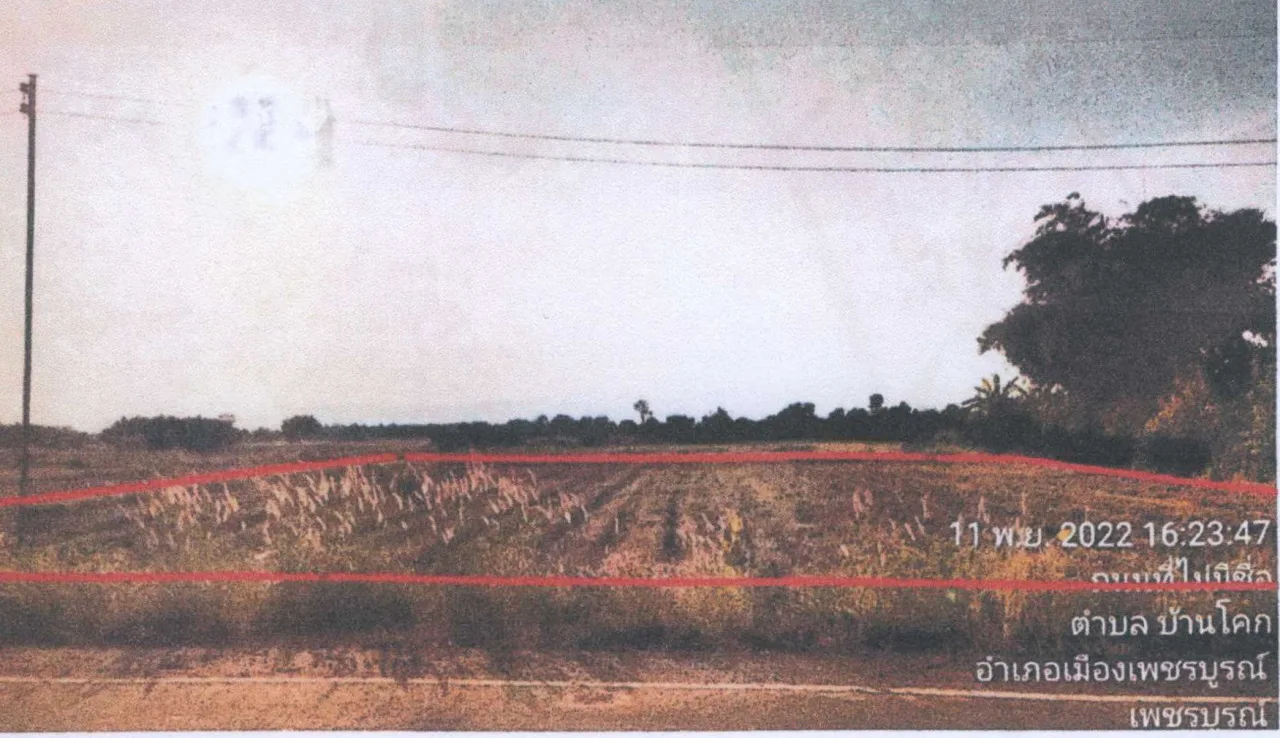 ขายทอดตลาด ที่ดินว่างเปล่า ต.บ้านโคก อ.เมืองเพชรบูรณ์ จ.เพชรบูรณ์
