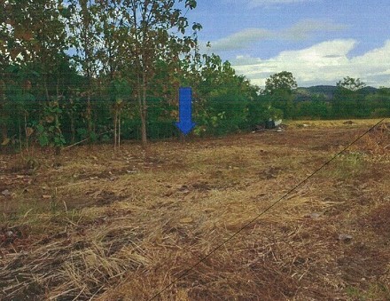 ขายทอดตลาด ที่ดินว่างเปล่า ต.ท่าข้าม อ.ชนแดน จ.เพชรบูรณ์
