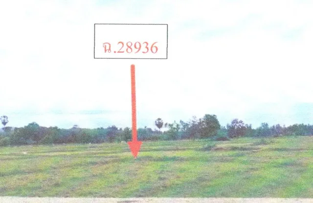 ขายทอดตลาด ที่ดินว่างเปล่า จ.สงขลา