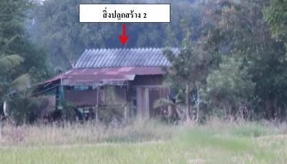ขายทอดตลาด ที่ดินพร้อมสิ่งปลูกสร้าง ต.นางั่ว อ.เมืองเพชรบูรณ์ จ.เพชรบูรณ์