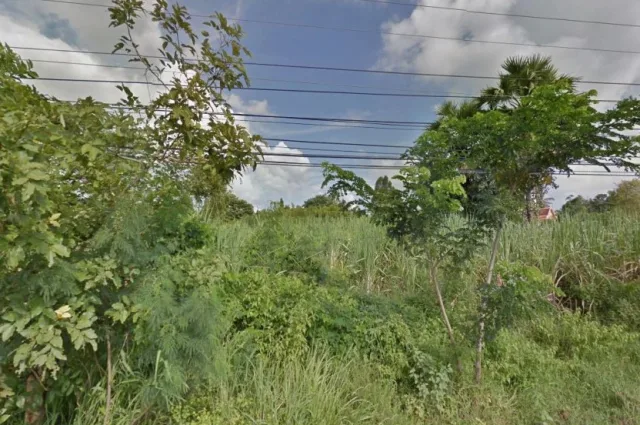 ขายทอดตลาด ที่ดินว่างเปล่า ต.ดอนหัน อ.เมืองขอนแก่น จ.ขอนแก่น
