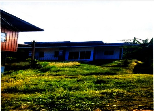 ขายทอดตลาด ที่ดินพร้อมสิ่งปลูกสร้าง ต.บ้านโตก อ.เมืองเพชรบูรณ์ จ.เพชรบูรณ์