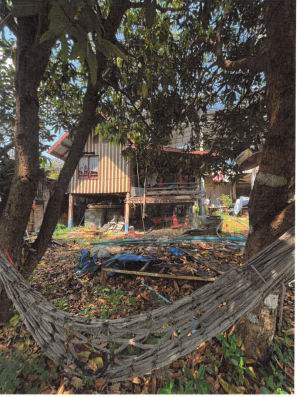 ขายทอดตลาด ที่ดินพร้อมสิ่งปลูกสร้าง ต.ท่าพล อ.เมืองเพชรบูรณ์ จ.เพชรบูรณ์