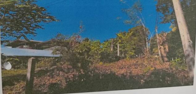 ขายทอดตลาด ที่ดินว่างเปล่า ต.ท่าพล อ.เมืองเพชรบูรณ์ จ.เพชรบูรณ์