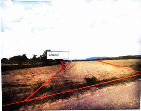 ขายทอดตลาด ที่ดินว่างเปล่า ต.ห้วยสะแก อ.เมืองเพชรบูรณ์ จ.เพชรบูรณ์