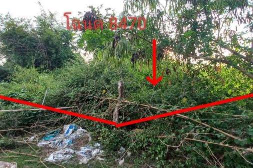 ขายทอดตลาด ที่ดินว่างเปล่า ต.โคกสำราญ อ.กิ่งอำเภอบ้านแฮด จ.ขอนแก่น