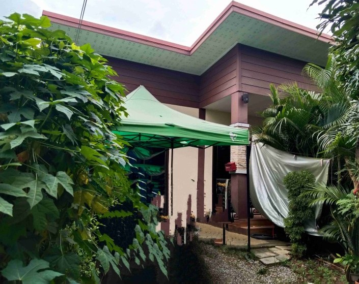 ขายทอดตลาด ที่ดินพร้อมสิ่งปลูกสร้าง ต.บ้านโตก อ.เมืองเพชรบูรณ์ จ.เพชรบูรณ์