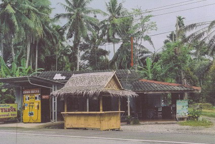 ขายทอดตลาด ที่ดินพร้อมสิ่งปลูกสร้าง ต.หาดพันไกร อ.เมืองชุมพร จ.ชุมพร