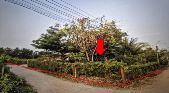 ขายทอดตลาด ที่ดินว่างเปล่า ต.บ้านโคก อ.เมืองเพชรบูรณ์ จ.เพชรบูรณ์