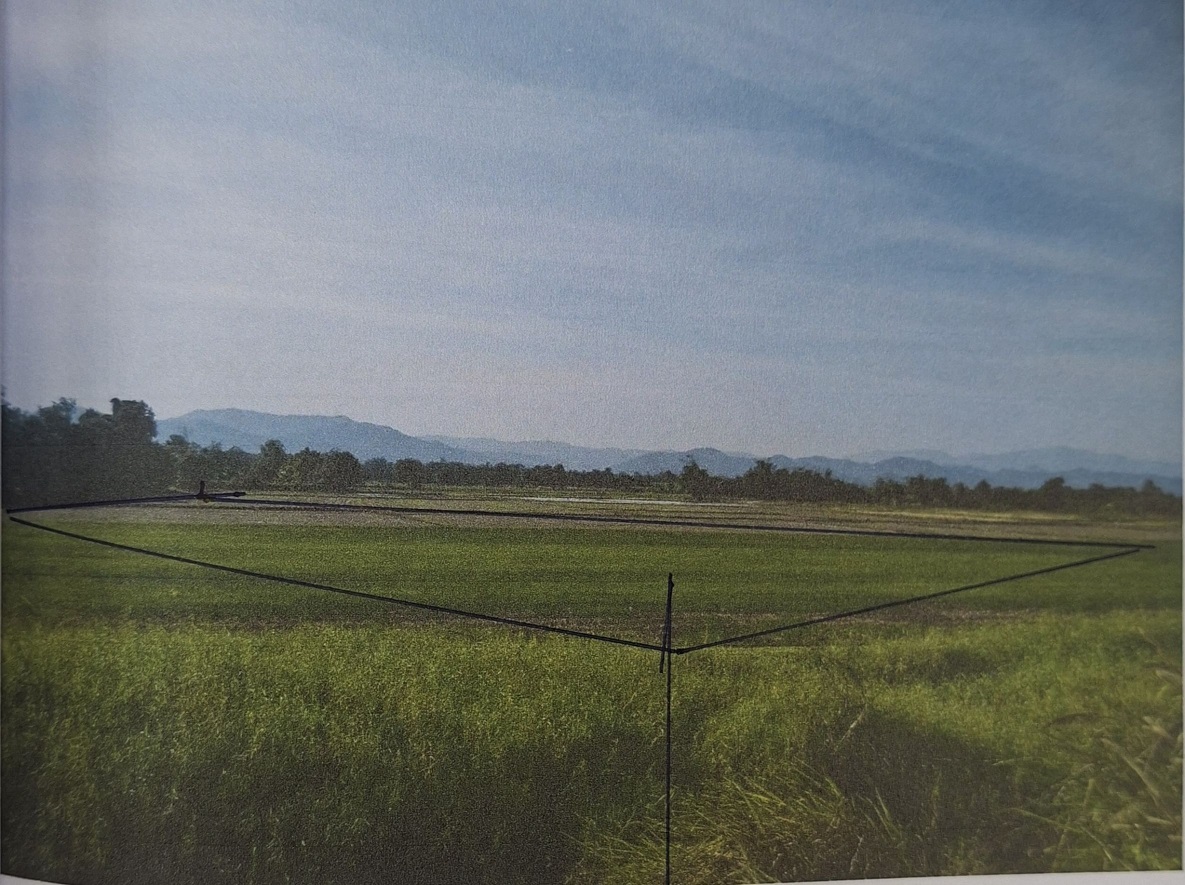 ขายทอดตลาด ที่ดินว่างเปล่า จ.เพชรบูรณ์
