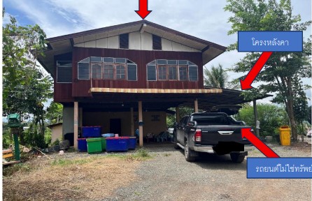 ขายทอดตลาด ที่ดินพร้อมสิ่งปลูกสร้าง ต.นางั่ว อ.เมืองเพชรบูรณ์ จ.เพชรบูรณ์