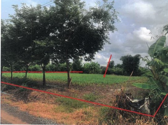 ขายทอดตลาด ที่ดินว่างเปล่า ต.วังชมภู อ.เมืองเพชรบูรณ์ จ.เพชรบูรณ์