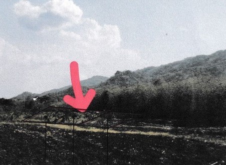 ขายทอดตลาด ที่ดินว่างเปล่า ต.บ้านโตก อ.เมืองเพชรบูรณ์ จ.เพชรบูรณ์