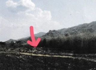 รูปทรัพย์ 1