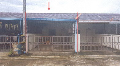 ขายทอดตลาด ที่ดินพร้อมสิ่งปลูกสร้าง ต.นาท่ามเหนือ อ.เมืองตรัง จ.ตรัง