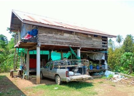 ขายทอดตลาด ที่ดินพร้อมสิ่งปลูกสร้าง ต.ตะเบาะ อ.เมืองเพชรบูรณ์ จ.เพชรบูรณ์