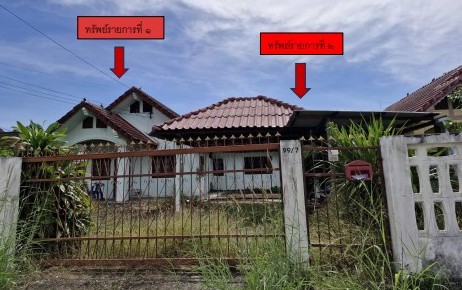 ขายทอดตลาด ที่ดินพร้อมสิ่งปลูกสร้าง ต.นางั่ว อ.เมืองเพชรบูรณ์ จ.เพชรบูรณ์