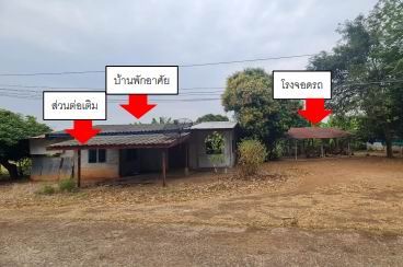 ขายทอดตลาด ที่ดินพร้อมสิ่งปลูกสร้าง ต.ดงขุย อ.ชนแดน จ.เพชรบูรณ์