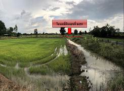 ขายทอดตลาด ที่ดินว่างเปล่า ต.ท้ายดง อ.วังโป่ง จ.เพชรบูรณ์