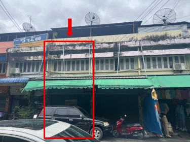 ขายทอดตลาด ที่ดินพร้อมสิ่งปลูกสร้าง ต.ในเมือง อ.เมืองเพชรบูรณ์ จ.เพชรบูรณ์