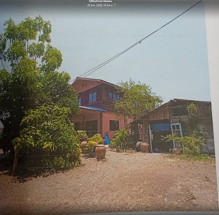 ขายทอดตลาด ที่ดินพร้อมสิ่งปลูกสร้าง ต.นางั่ว อ.เมืองเพชรบูรณ์ จ.เพชรบูรณ์