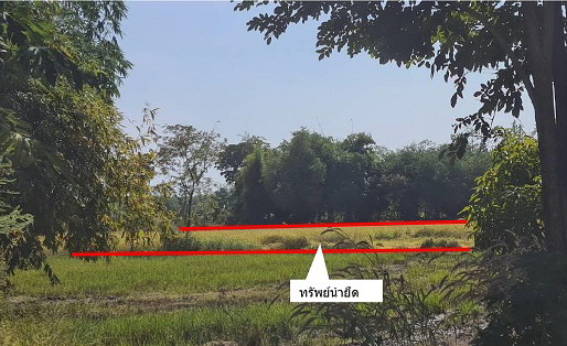 ขายทอดตลาด ที่ดินว่างเปล่า ต.ตะกุดไร อ.ชนแดน จ.เพชรบูรณ์