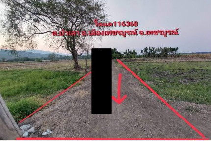 ขายทอดตลาด ที่ดินว่างเปล่า ต.ป่าเลา อ.เมืองเพชรบูรณ์ จ.เพชรบูรณ์