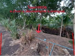 รูปทรัพย์ 2