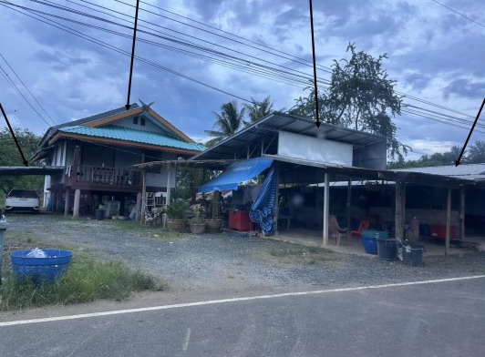 ขายทอดตลาด ที่ดินพร้อมสิ่งปลูกสร้าง ต.ดงมูลเหล็ก อ.เมืองเพชรบูรณ์ จ.เพชรบูรณ์