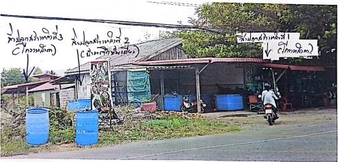 ขายทอดตลาด ที่ดินพร้อมสิ่งปลูกสร้าง ต.ชนแดน อ.ชนแดน จ.เพชรบูรณ์