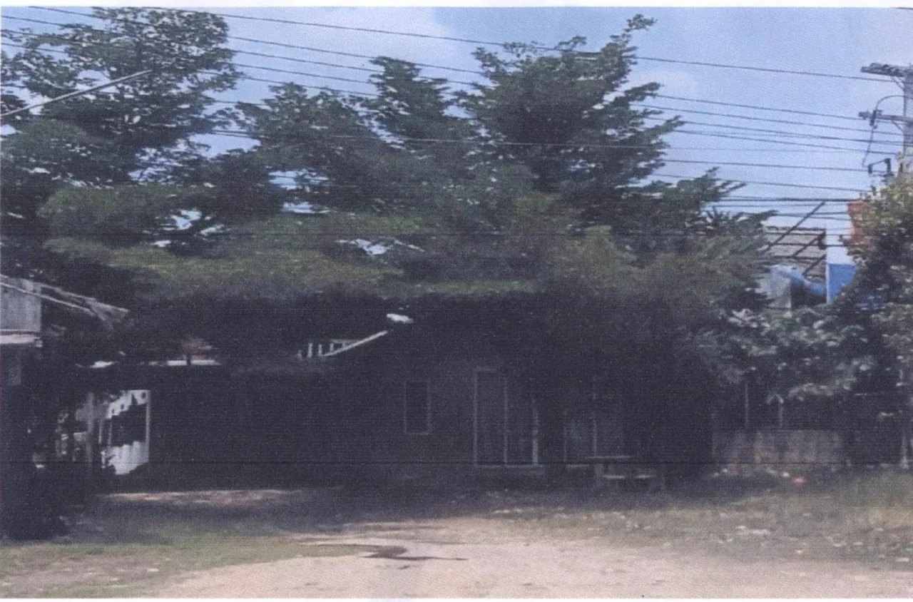 ขายทอดตลาด ที่ดินพร้อมสิ่งปลูกสร้าง ต.วังชมภู อ.เมืองเพชรบูรณ์ จ.เพชรบูรณ์