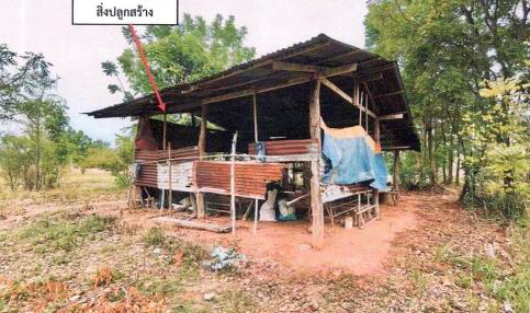 ขายทอดตลาด ที่ดินพร้อมสิ่งปลูกสร้าง ต.หัวดง อ.นาดูน จ.มหาสารคาม