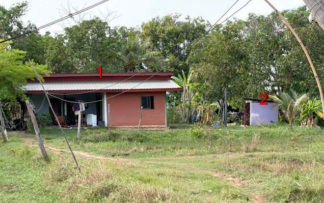 ขายทอดตลาด ที่ดินพร้อมสิ่งปลูกสร้าง ต.หนองซอน อ.เชียงยืน จ.มหาสารคาม