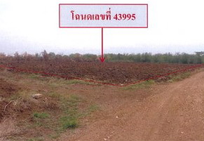 ขายทอดตลาด ที่ดินว่างเปล่า ต.บ้านโคก อ.เมืองเพชรบูรณ์ จ.เพชรบูรณ์