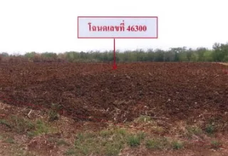 รูปทรัพย์ 2