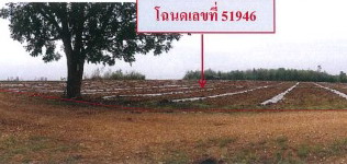 รูปทรัพย์ 3
