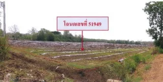รูปทรัพย์ 5