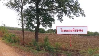 รูปทรัพย์ 6