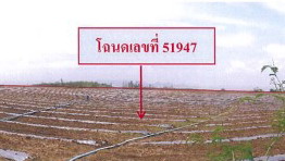 รูปทรัพย์ 8