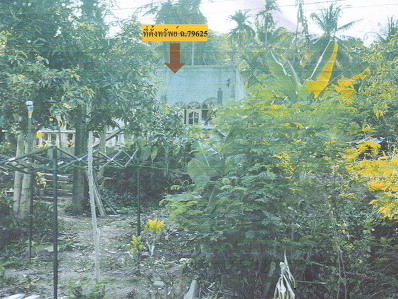 ขายทอดตลาด ที่ดินพร้อมสิ่งปลูกสร้าง ต.วิสัยเหนือ อ.เมืองชุมพร จ.ชุมพร