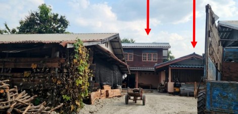 ขายทอดตลาด ที่ดินพร้อมสิ่งปลูกสร้าง ต.วังหิน(ท้ายดง) อ.วังโป่ง(ชนแดน) จ.เพชรบูรณ์
