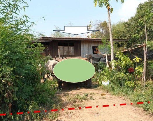 ขายทอดตลาด ที่ดินพร้อมสิ่งปลูกสร้าง ต.บ้านโคก อ.เมืองเพชรบูรณ์ จ.เพชรบูรณ์