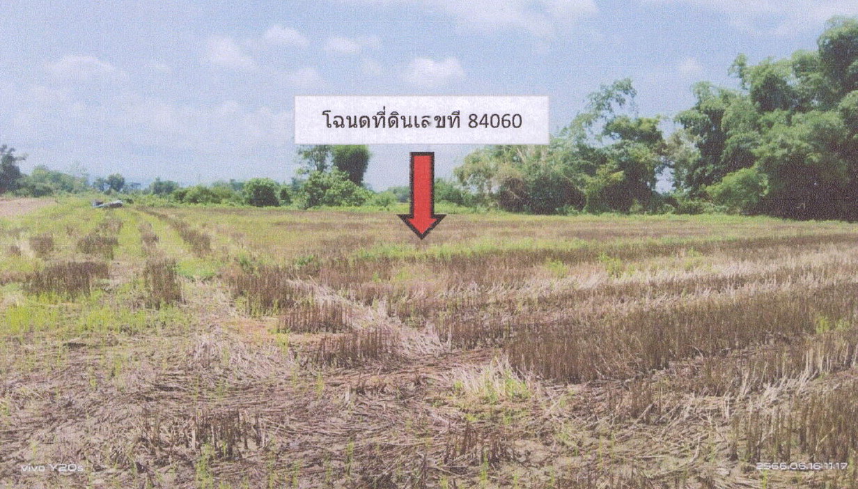 ขายทอดตลาด ที่ดินว่างเปล่า ต.เจริญเมือง อ.พาน จ.เชียงราย