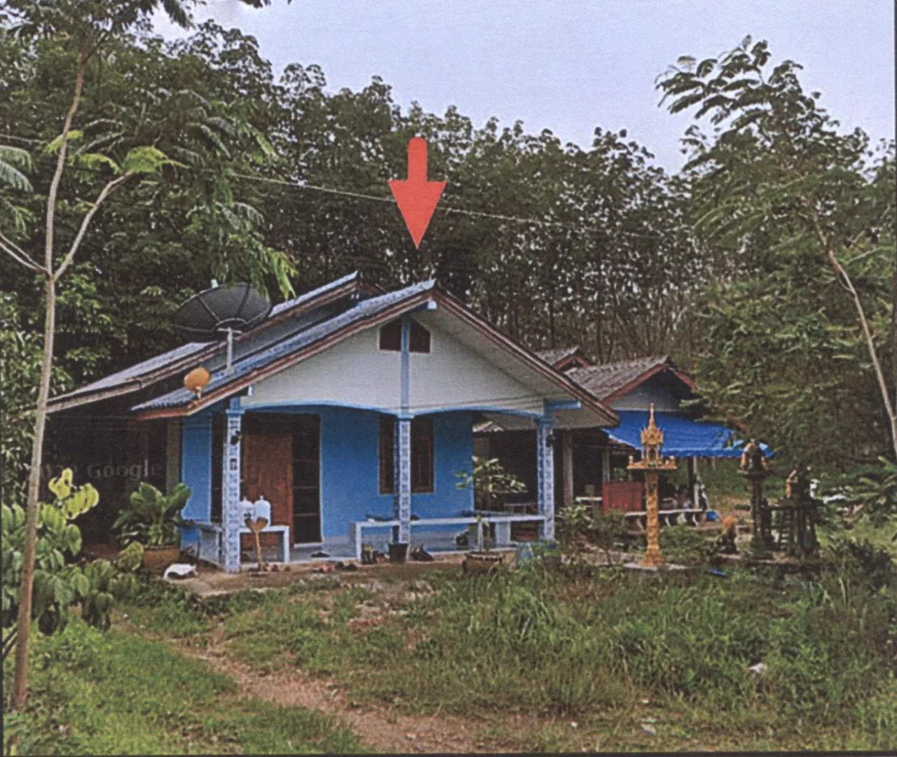 ขายทอดตลาด ที่ดินพร้อมสิ่งปลูกสร้าง ต.สำนักแต้ว อ.สะเดา จ.สงขลา