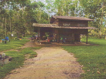 ขายทอดตลาด ที่ดินพร้อมสิ่งปลูกสร้าง ต.ทุ่งค่าย อ.ย่านตาขาว จ.ตรัง