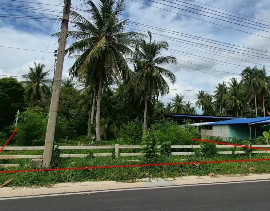 ขายทอดตลาด ที่ดินว่างเปล่า จ.สมุทรสงคราม