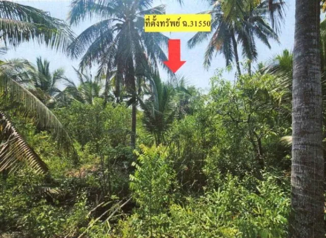 ขายทอดตลาด ที่ดินว่างเปล่า จ.สมุทรสงคราม