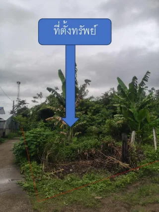 รูปทรัพย์ 2